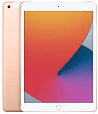 iPad 8 10.2 (2020)